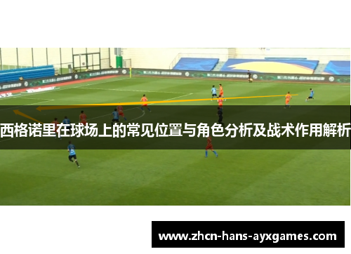 西格诺里在球场上的常见位置与角色分析及战术作用解析