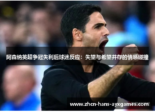 阿森纳英超争冠失利后球迷反应:失望与希望并存的情感碰撞 阿森纳英超争冠失利后球迷反应:失望与希望并存的情感碰撞