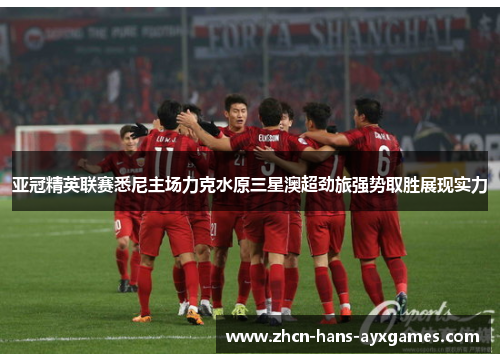 亚冠精英联赛悉尼主场力克水原三星澳超劲旅强势取胜展现实力