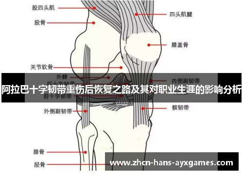 阿拉巴十字韧带重伤后恢复之路及其对职业生涯的影响分析 阿拉巴十字韧带重伤后恢复之路及其对职业生涯的影响分析